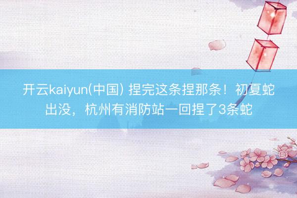 开云kaiyun(中国) 捏完这条捏那条！初夏蛇出没，杭州有消防站一回捏了3条蛇