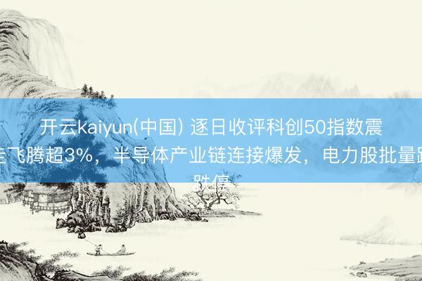 开云kaiyun(中国) 逐日收评科创50指数震憾走飞腾超3%，半导体产业链连接爆发，电力股批量跌停