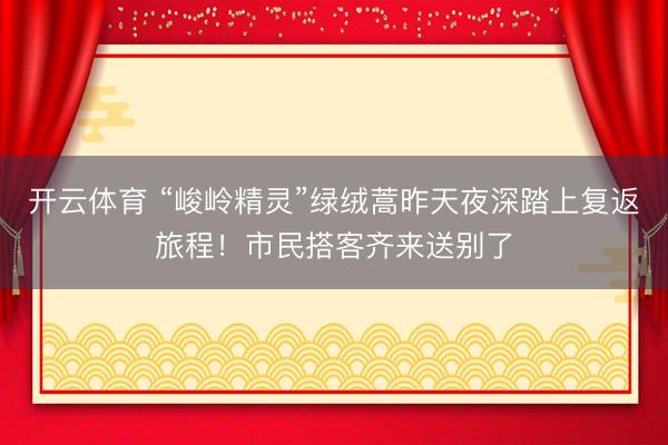 开云体育 “峻岭精灵”绿绒蒿昨天夜深踏上复返旅程！市民搭客齐来送别了