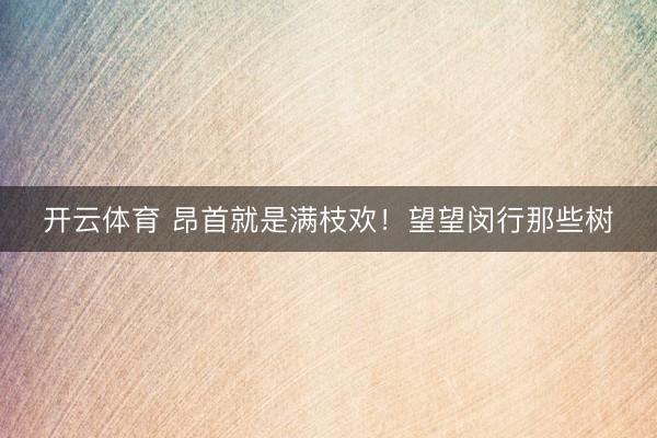 开云体育 昂首就是满枝欢！望望闵行那些树