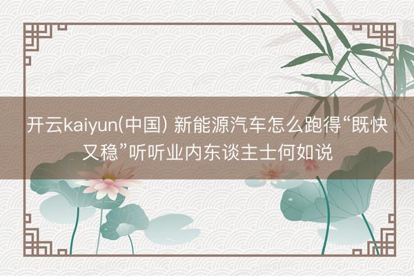 开云kaiyun(中国) 新能源汽车怎么跑得“既快又稳”听听业内东谈主士何如说