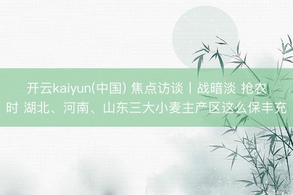 开云kaiyun(中国) 焦点访谈丨战暗淡 抢农时 湖北、河南、山东三大小麦主产区这么保丰充