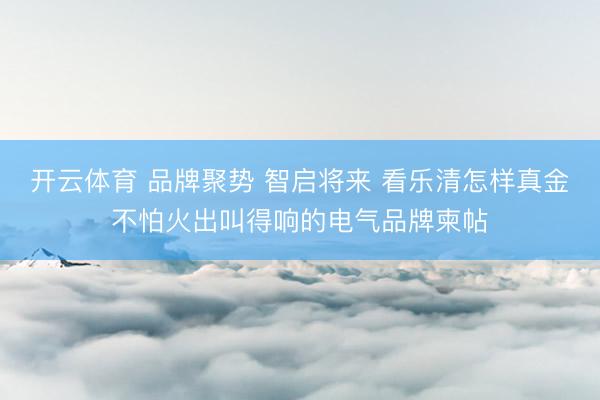 开云体育 品牌聚势 智启将来 看乐清怎样真金不怕火出叫得响的电气品牌柬帖