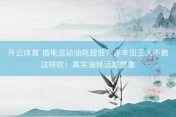 开云体育 插电混动油耗超低？连丰田王人不敢这样吹！真实油耗远超想象