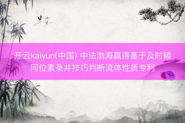 开云kaiyun(中国) 中法渤海赢得基于及时碳同位素录井技巧判断流体性质专利