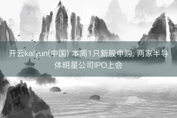 开云kaiyun(中国) 本周1只新股申购， 两家半导体明星公司IPO上会