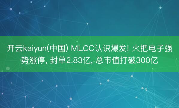 开云kaiyun(中国) MLCC认识爆发! 火把电子强势涨停， 封单2.83亿， 总市值打破300亿