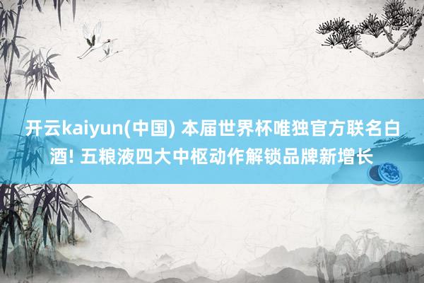 开云kaiyun(中国) 本届世界杯唯独官方联名白酒! 五粮液四大中枢动作解锁品牌新增长