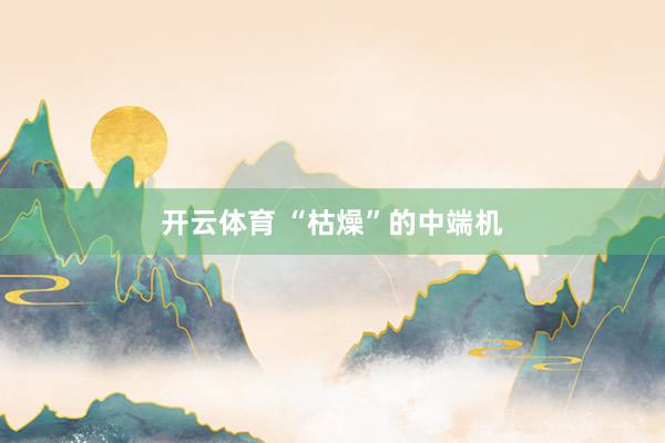 开云体育 “枯燥”的中端机